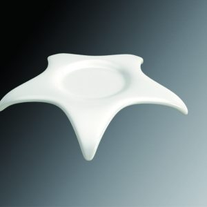 KGNC8870 Starfish Plate