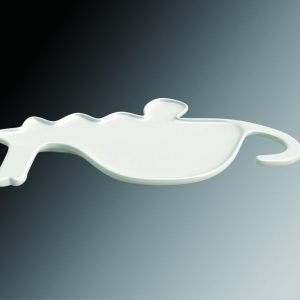 KGNC8871 Hippocampus Plate